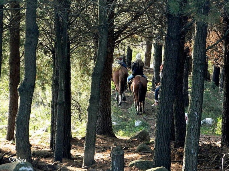 Cabalgando