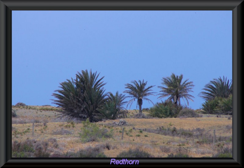 No es Africa sino el Cabo de Gata en Almera