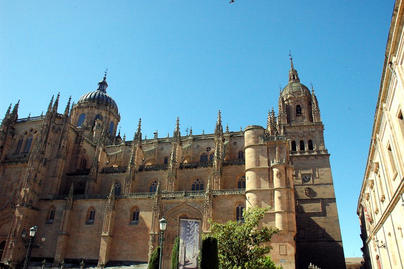 La Catedral