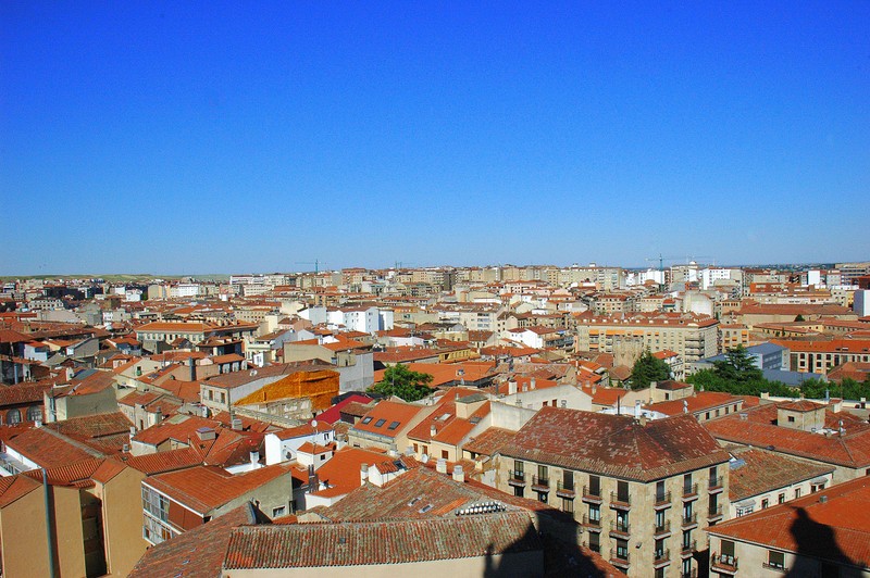 Panormica