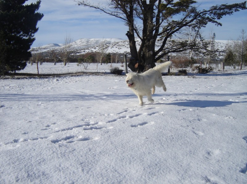 Disfrutando la nieve