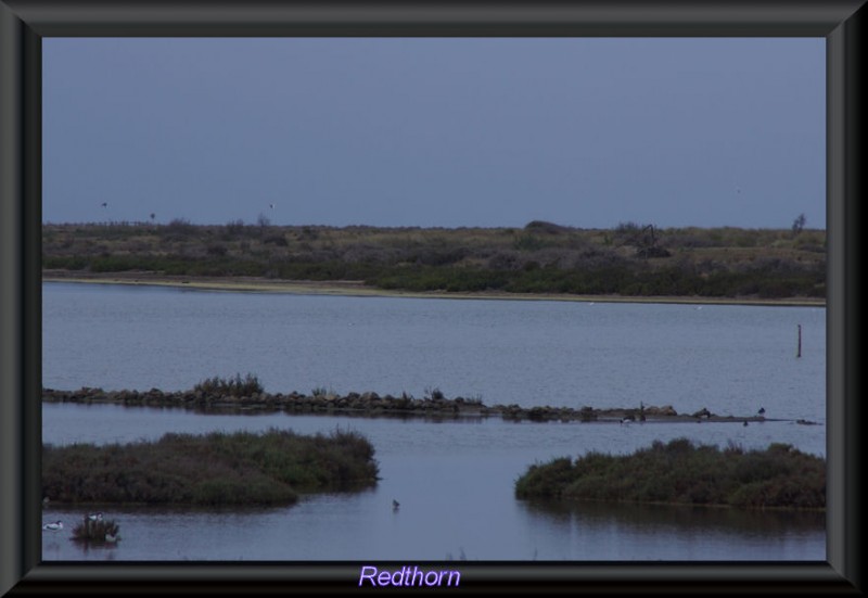 Balsa de las salinas de Cabo de Gata