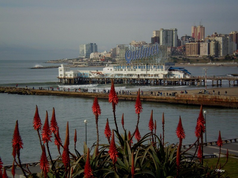 Frente al mar