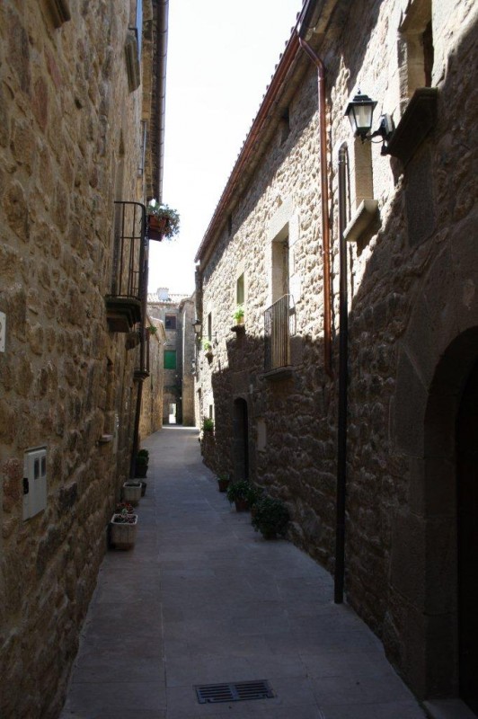 SANT CLIMEN DE PINELL DEL SOLSONES. LA VILA CLOSA