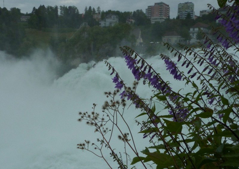 Cataratas del Rhin