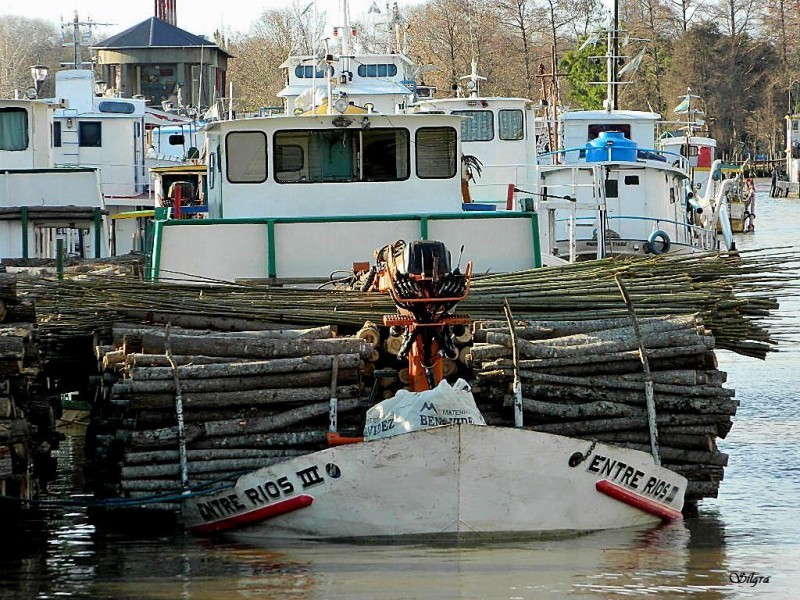 Carga por el Delta del Ro de la Plata