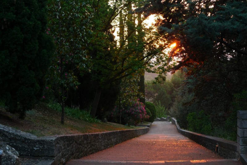 paseo al atardecer