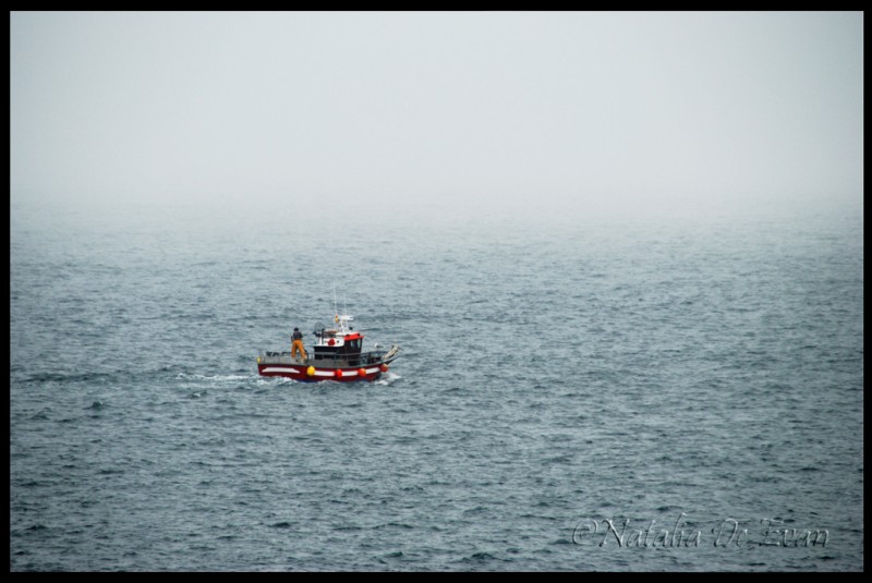 En la niebla