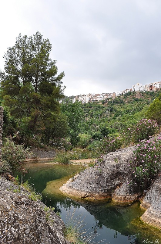 La perla de la montaa.