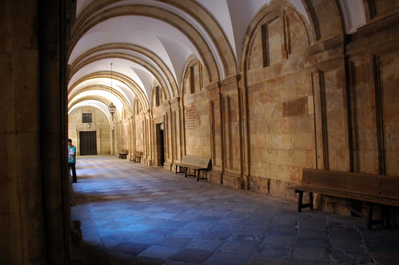 Claustro