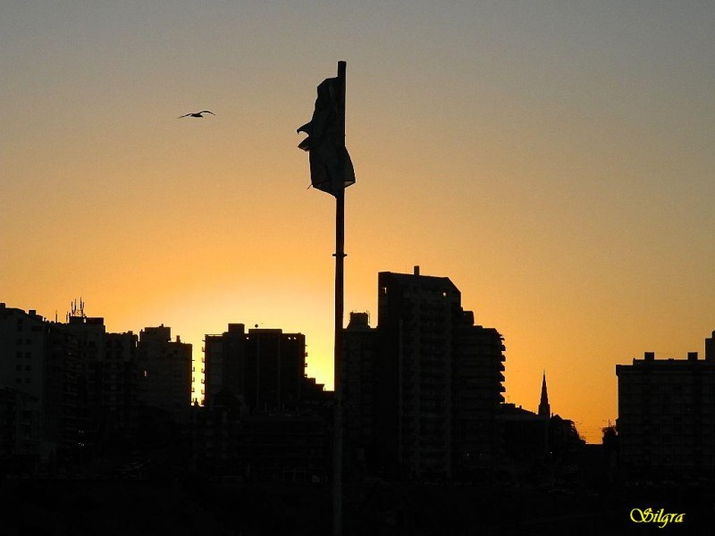 Cae la tarde en la ciudad