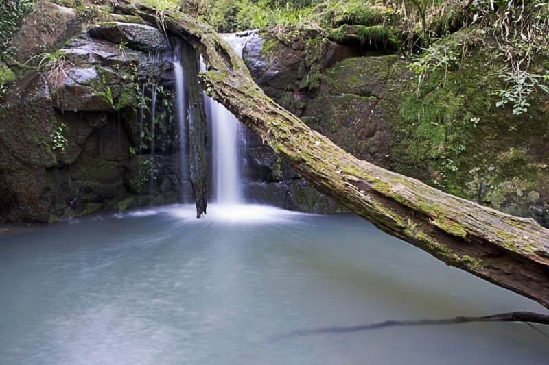 Salto Picaflor