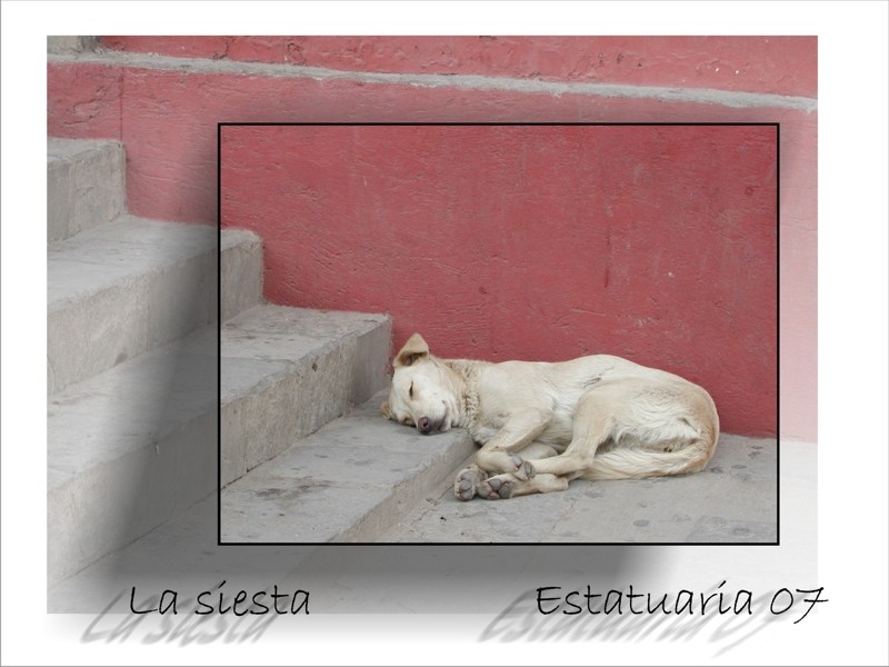 La siesta