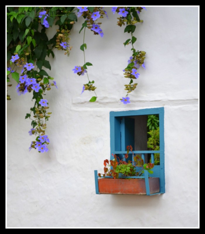 Tu ventana