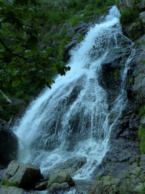 cabellera de agua