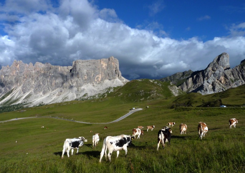 Croda del Lago