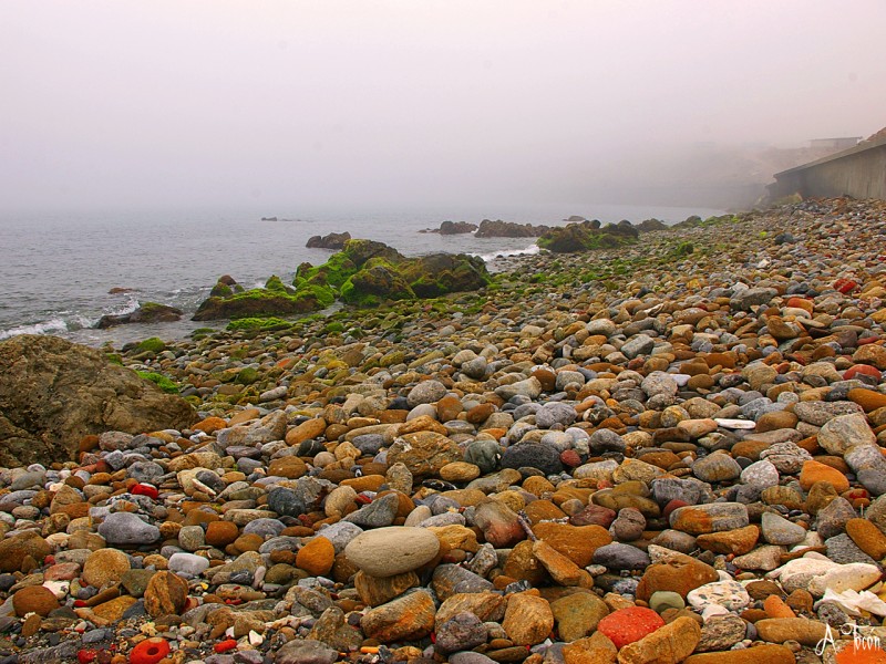 Niebla en la playa