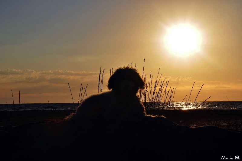 Kai al amanecer