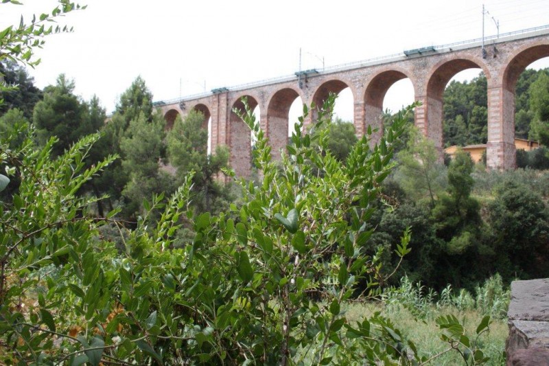 EL PONT GRAN EN TERME DOLESA DE MONTSERRAT