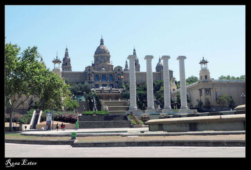 Museo Nacional de Arte de Catalua