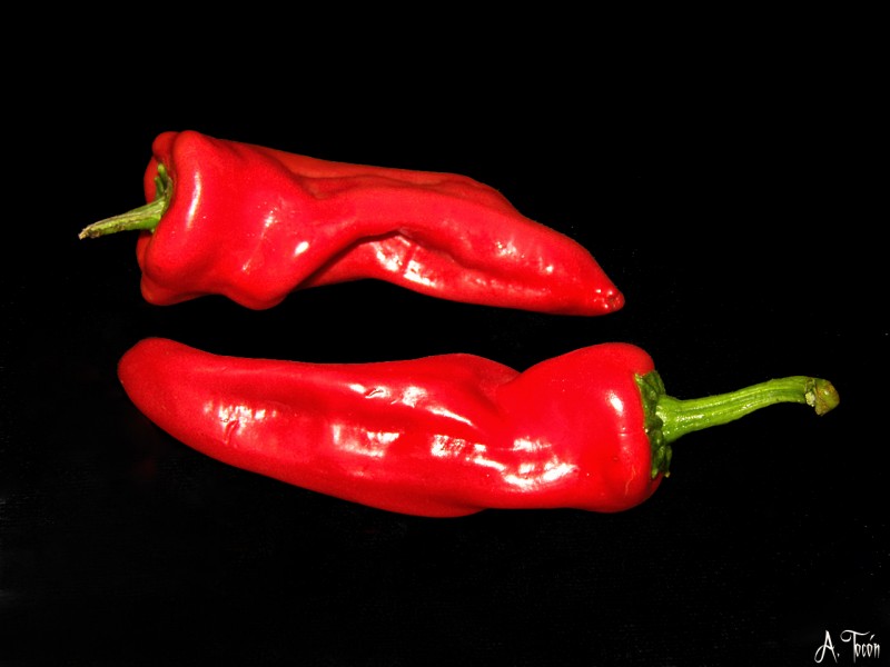 Pimientos rojos