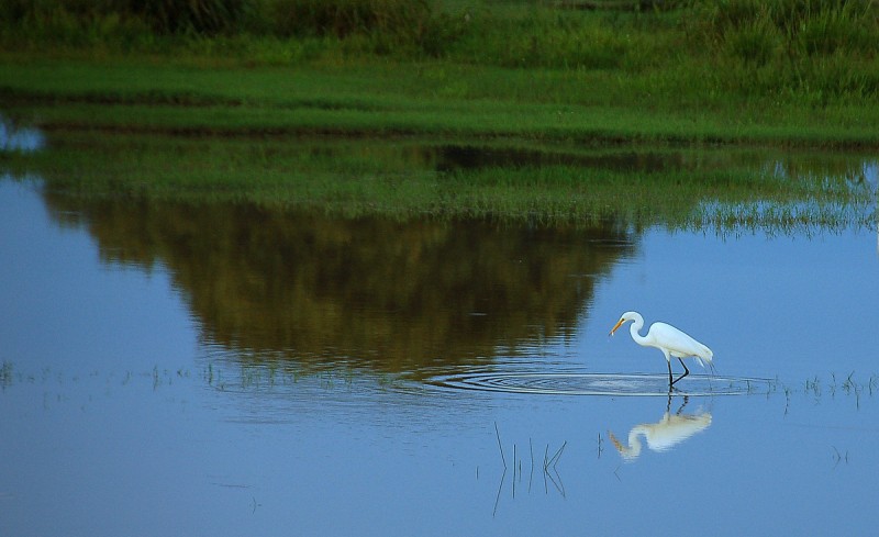 pescador.