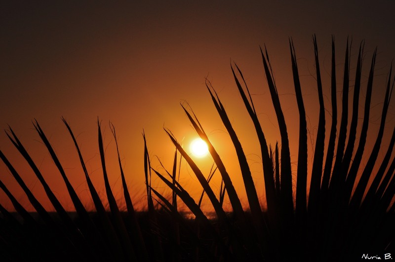 Abrazando al sol.