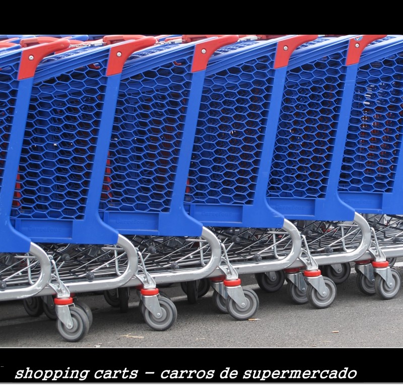 shopping carts -- carros de supermercado.  Photo by Campeador (Mario Cid).
