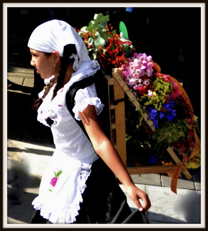 SILLETERA 2012