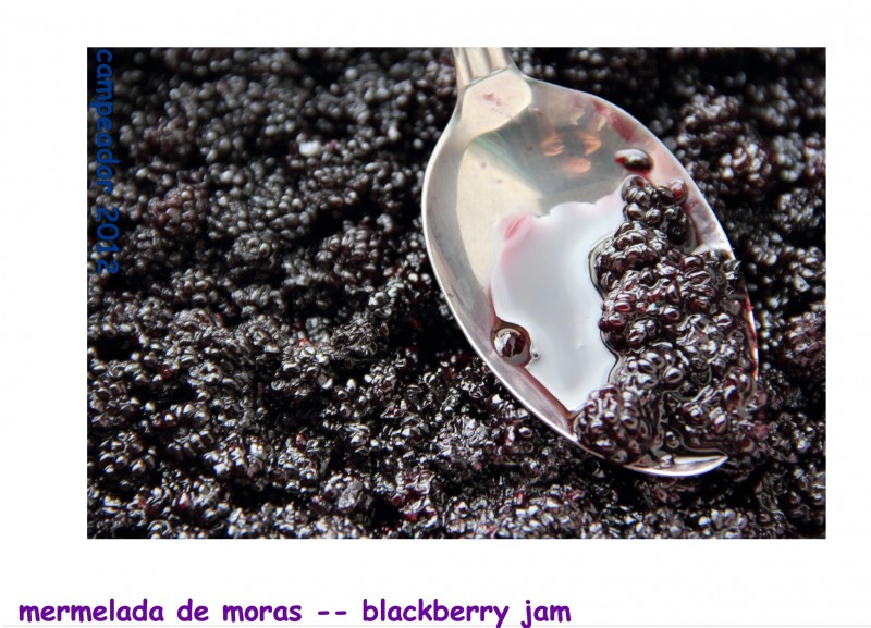 Blackberry Jam -- Mermelada de Moras. Fotografa por Mario Cid (Campeador).