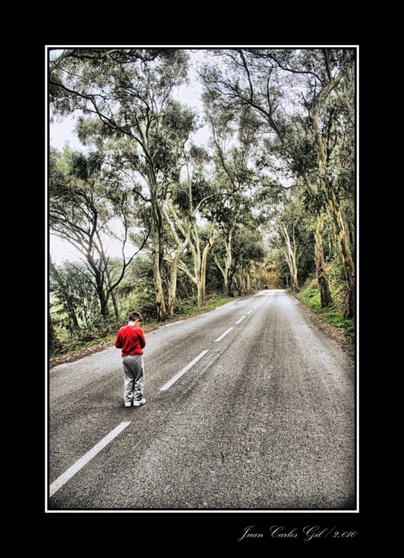 Entrando en el bosque