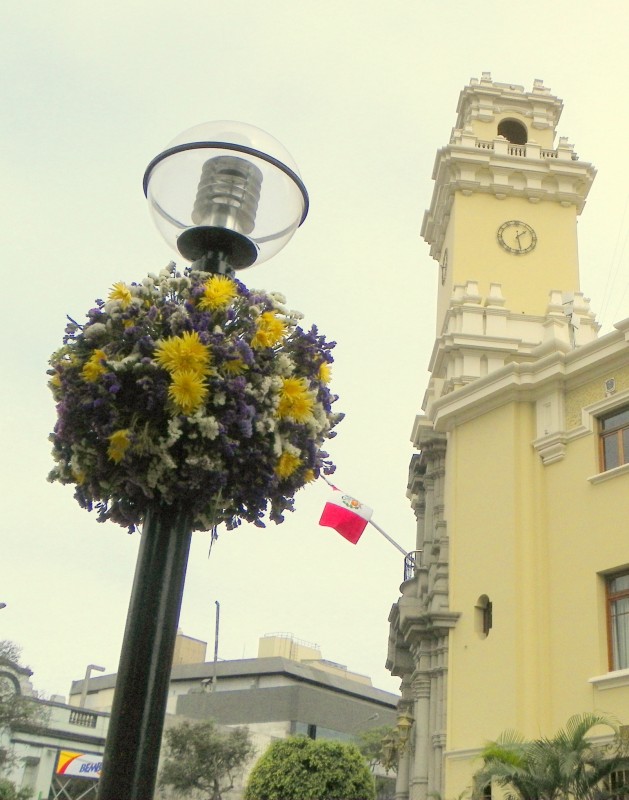 Luz y flores