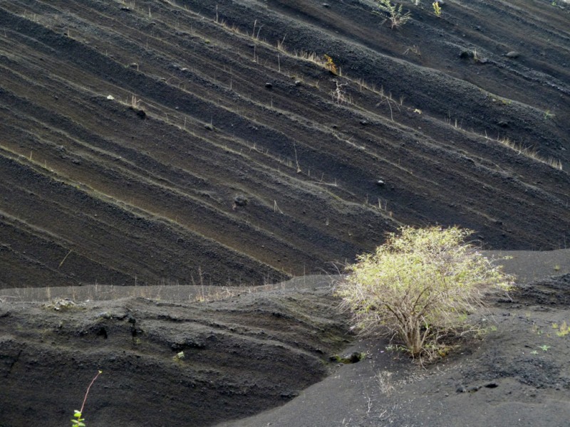 paisaje volcnico