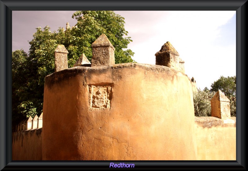 Cubo de la muralla con escudo