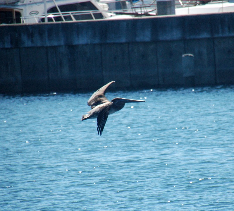 Secuencia de vuelo 1