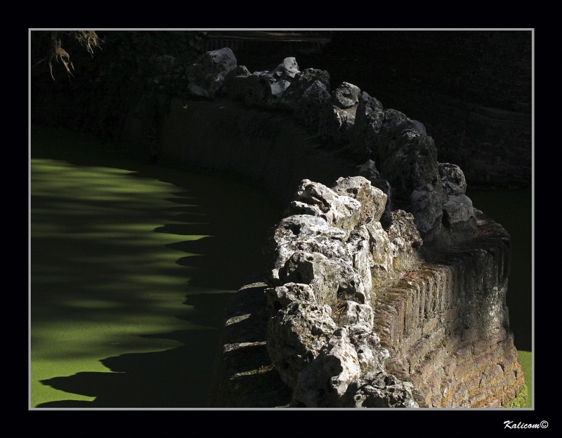 EL LAGO DE LAS ALGAS VERDES-2