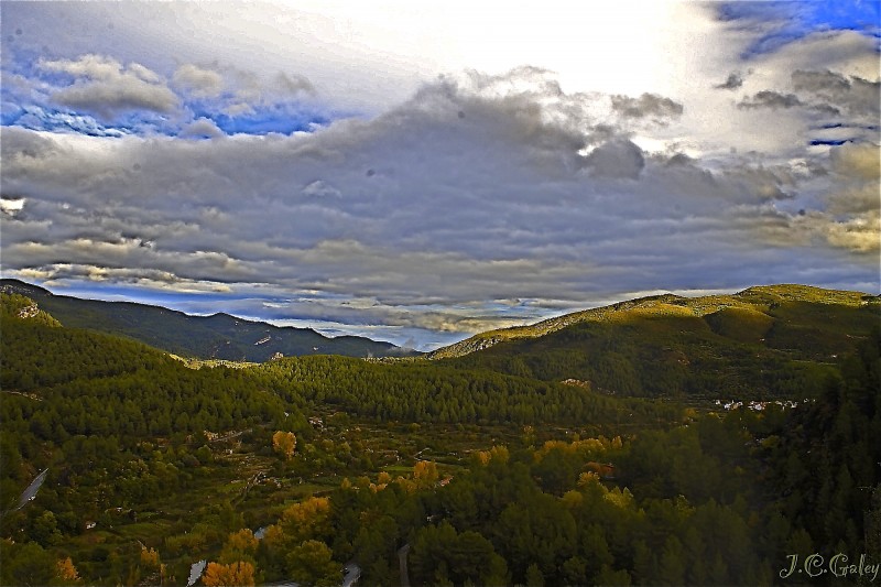 bosque mediterraneo