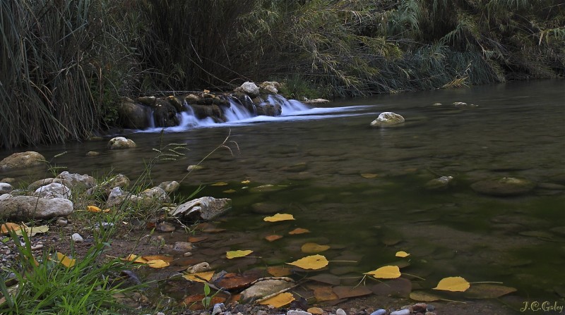 paisaje otoal