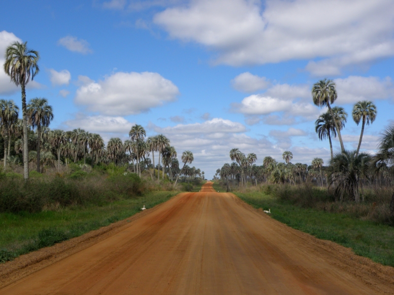 Parque nacional El palmar