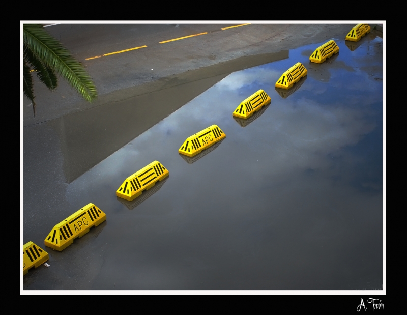 Reflejos en linea