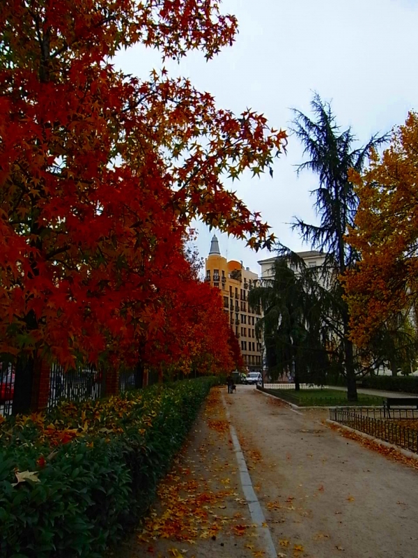 madrid colorido