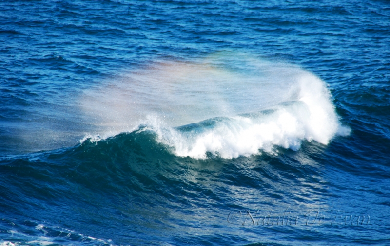 El mar y el arcoiris