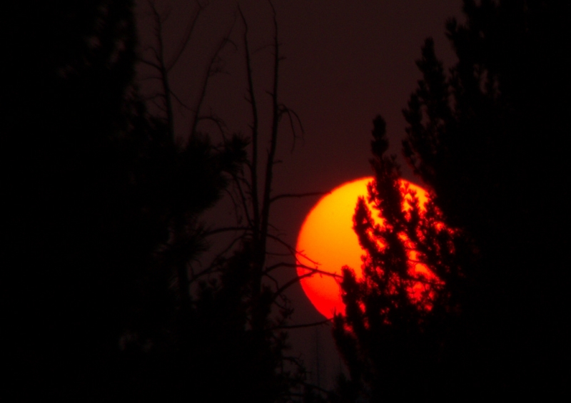 globo solar