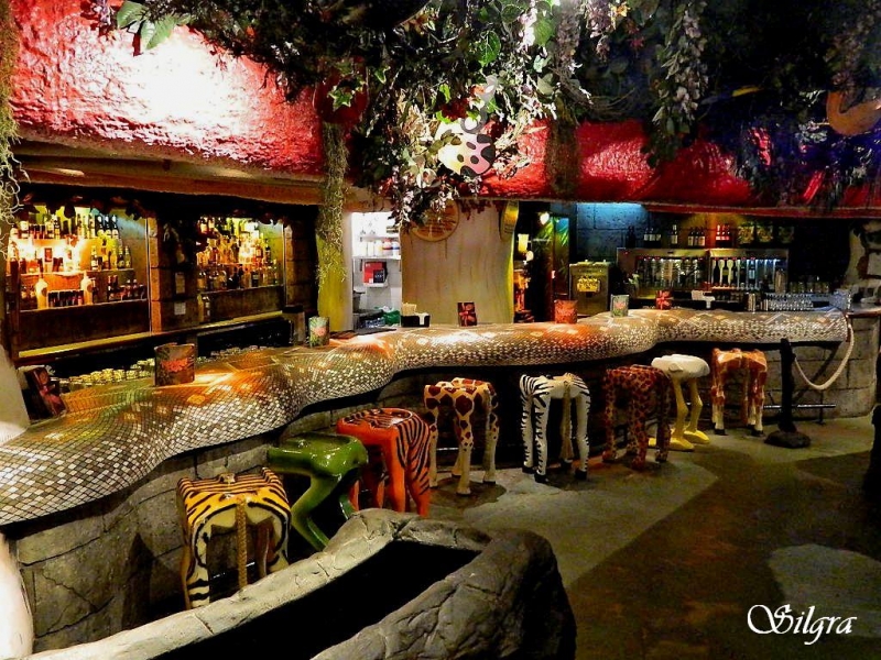 El bar de la selva