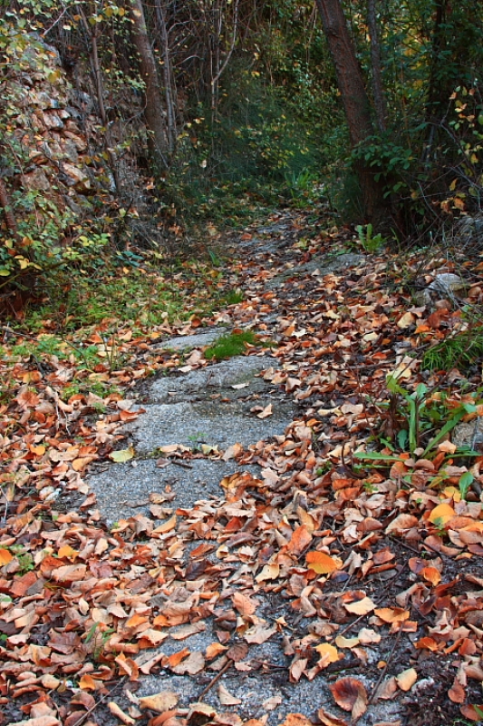 otoo-sierra de gador