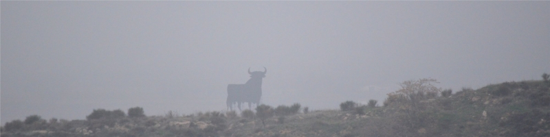 Entre la niebla