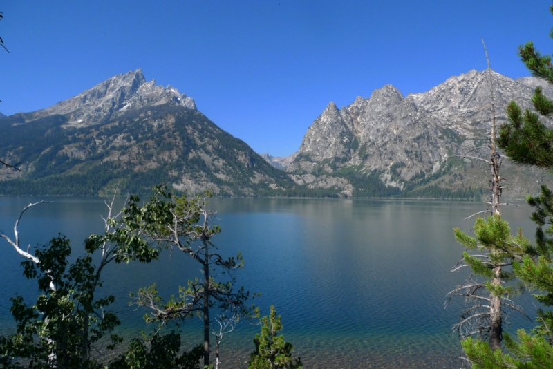 Jenny Lake