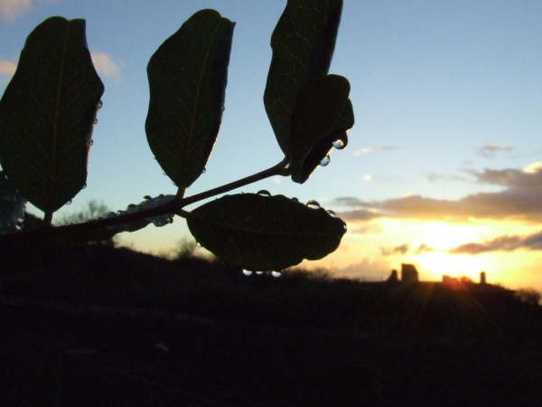 gotitas de agua al atardecer