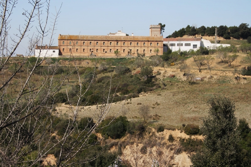 EL CELLER MODERNISTA FRANCESC ALEGRE