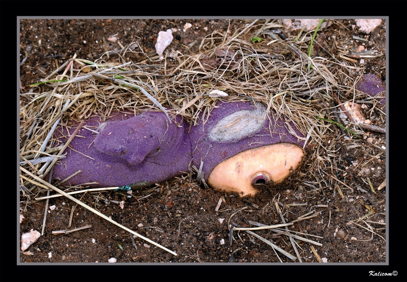 FOTOGRAFA FORENSE DE TINKY WINKY (sin manipular)